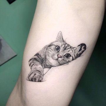 Тату ескізи коти