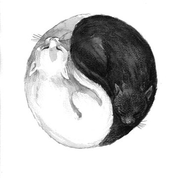 Тату ескізи Інь-Ян