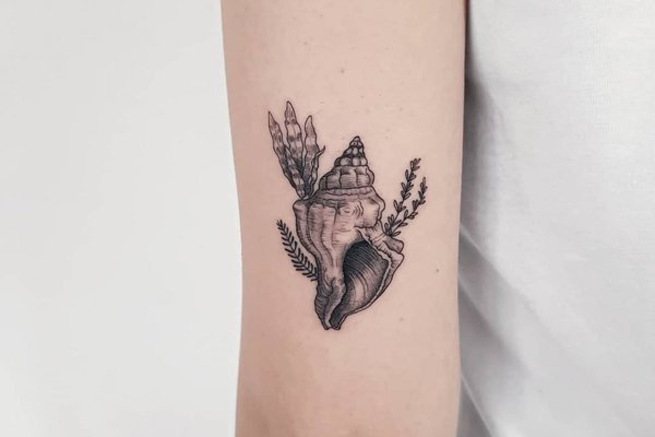 Тату-эскизы ракушка