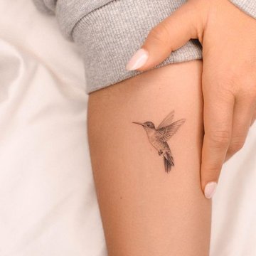 Тату-ескізи Птахи