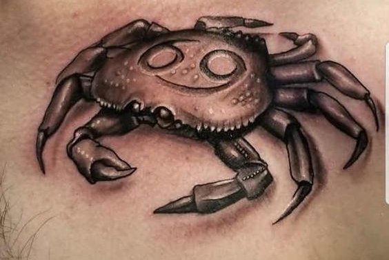 созвездие Рака