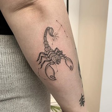 Тату эскизы "скорпион"